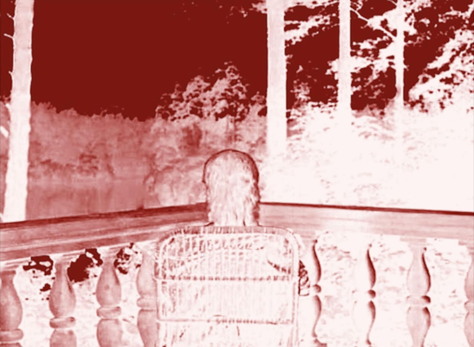 Galeriebild des Projekts Lap Dogs