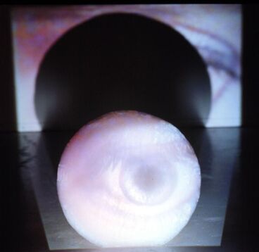 Hybride Evavisionen #1 Titelbild des Projekts Hybride Evavisionen #1