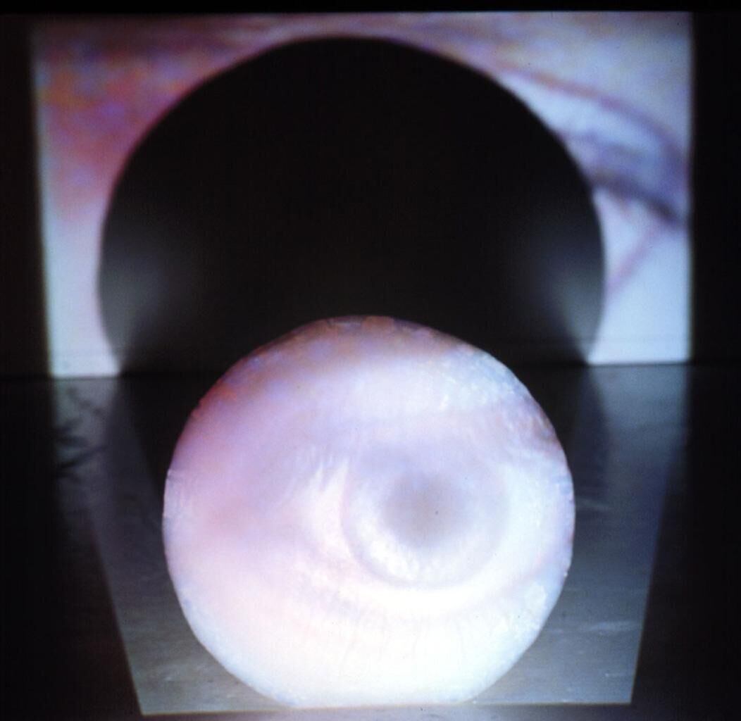 Titelbild des Projekts Hybride Evavisionen #1