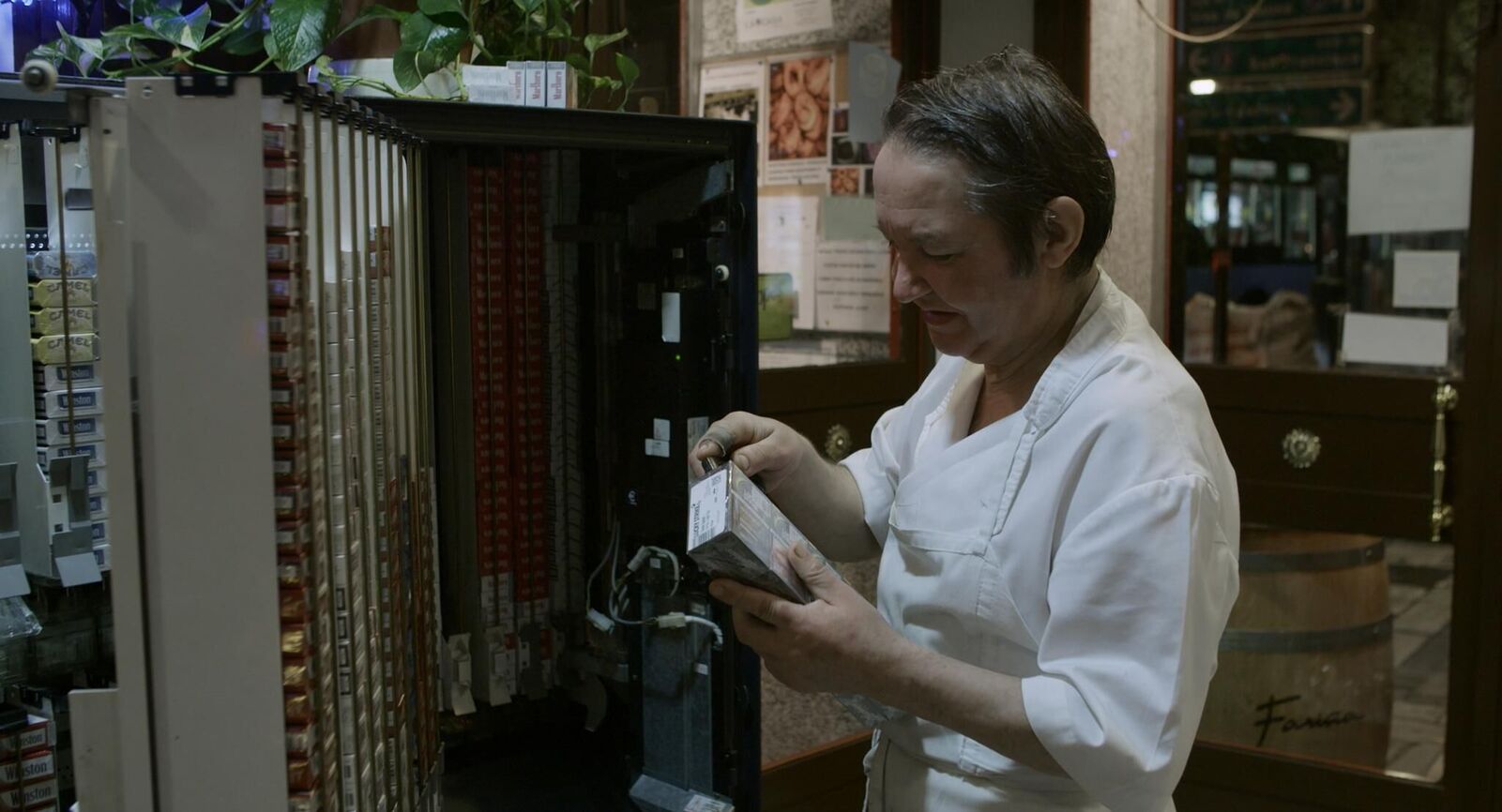 Galeriebild des Projekts Las lentejas y el Destino