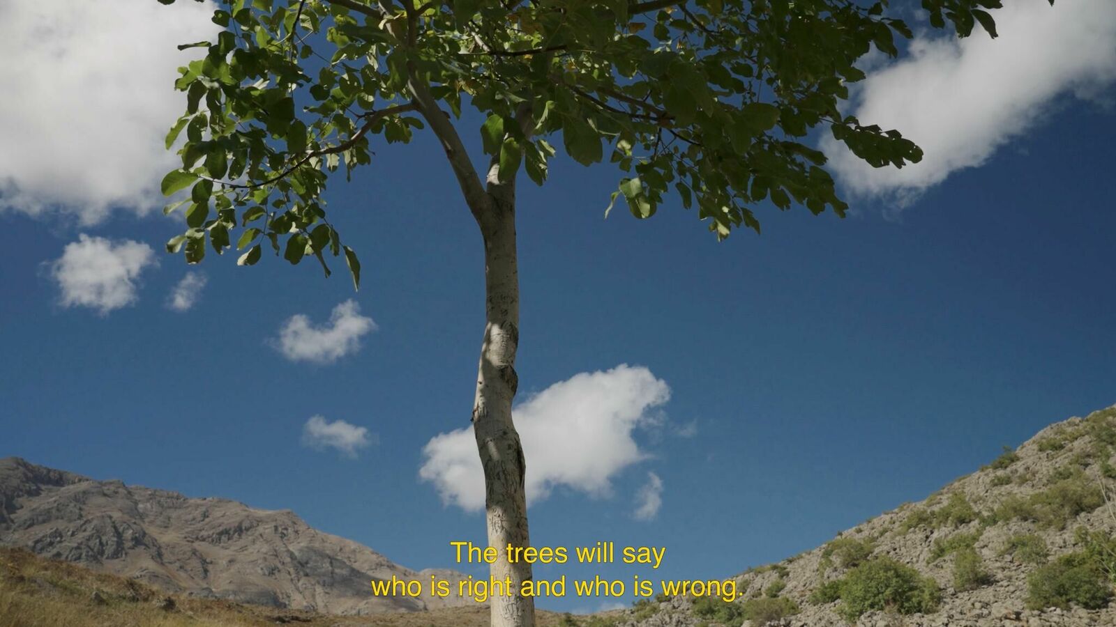 Galeriebild des Projekts You don't look nothing alike