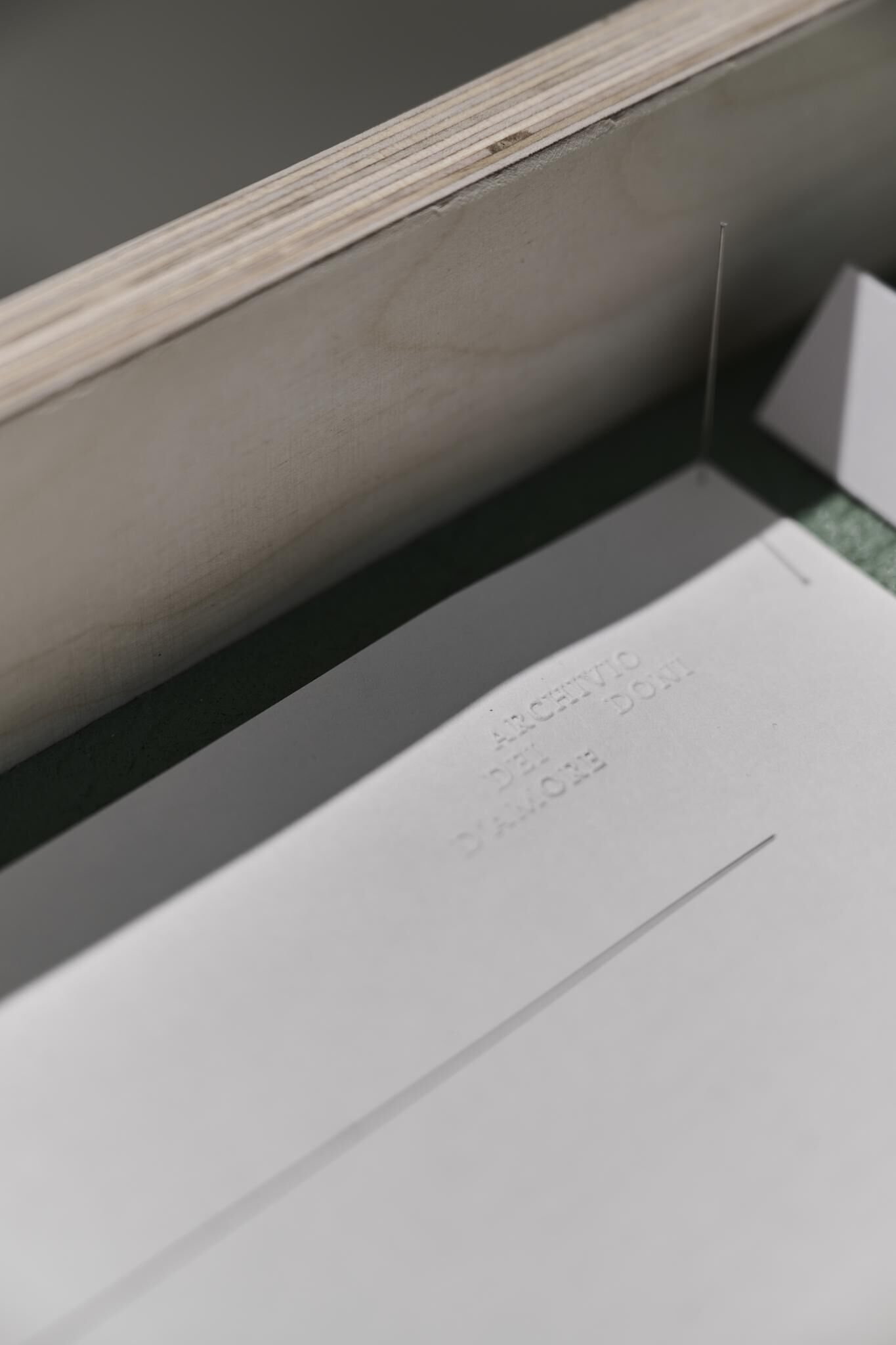 Galeriebild des Projekts Archives & Butterflies