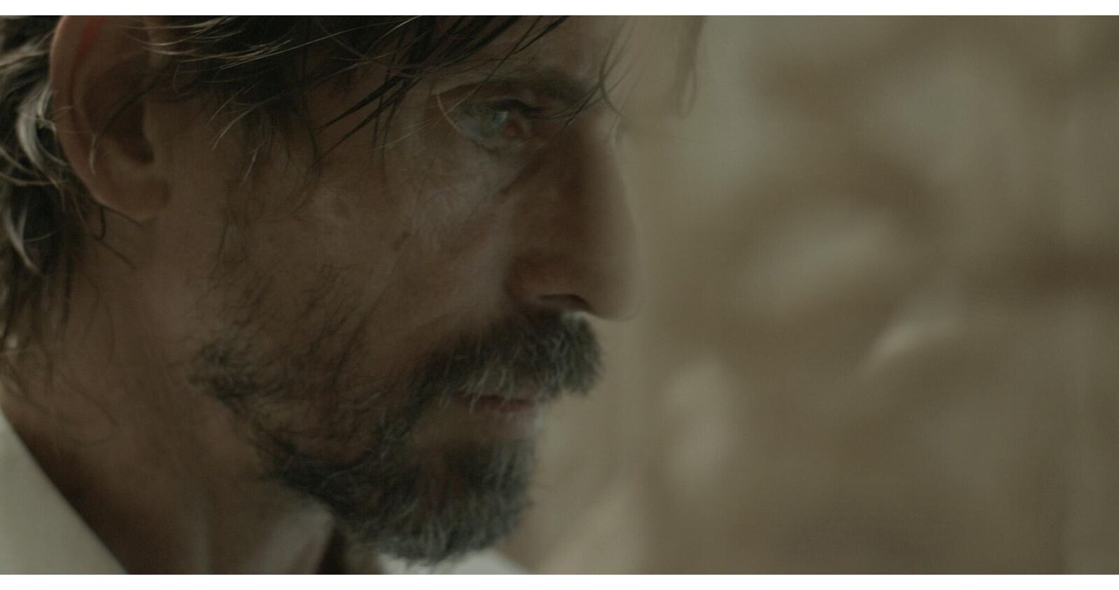 Galeriebild des Projekts Im Nebel