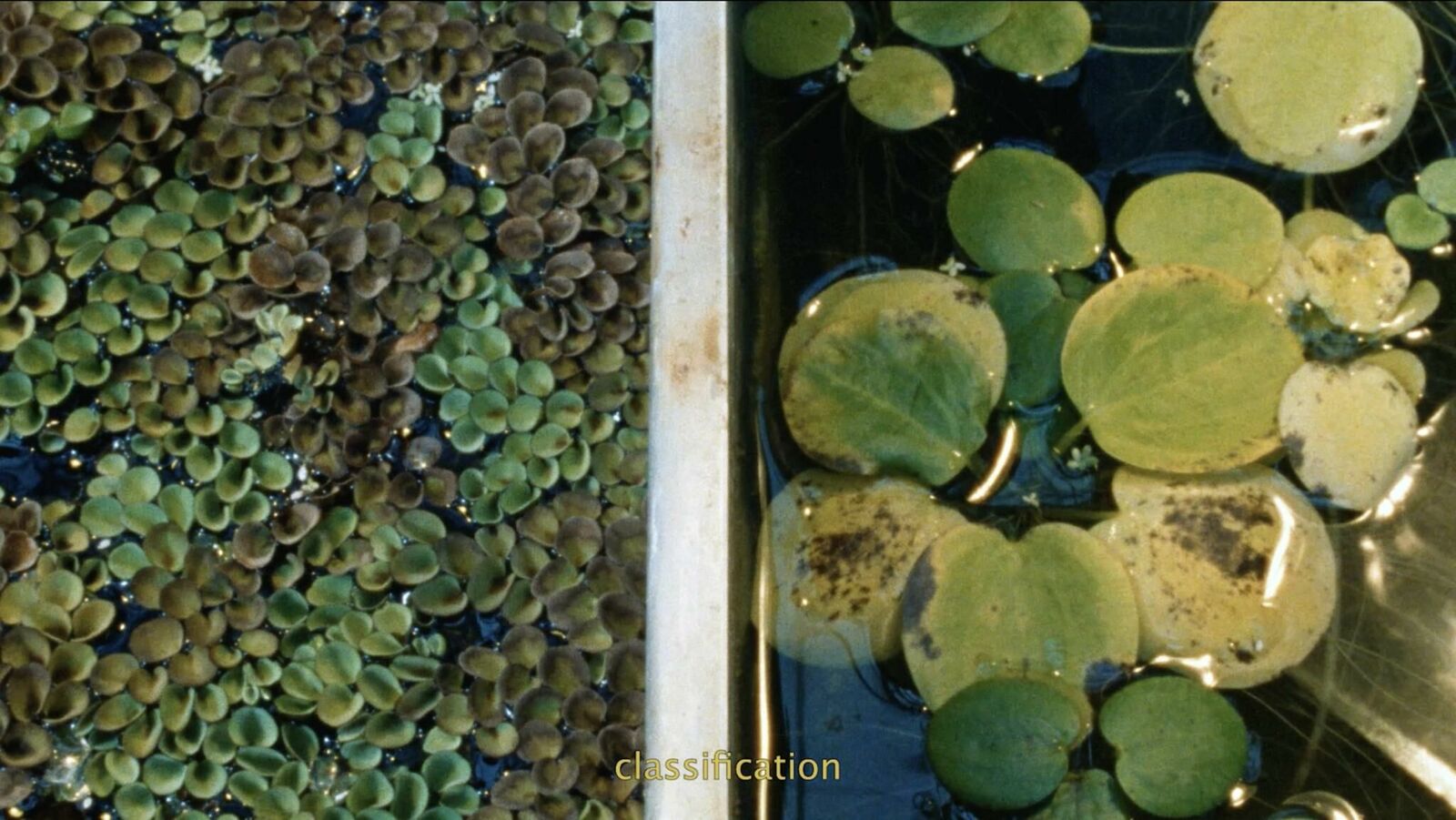 Galeriebild des Projekts thoughts on control and care