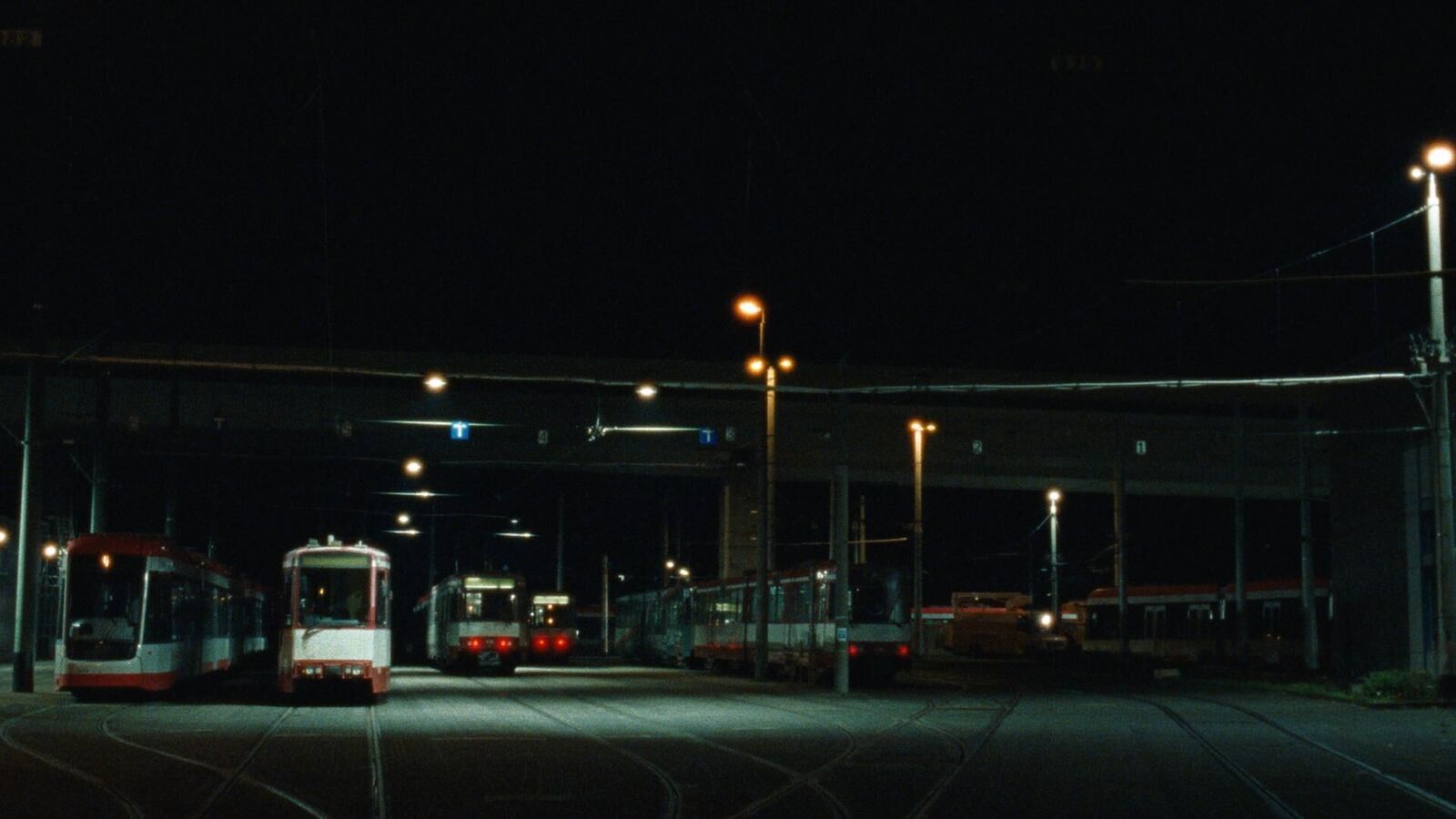 Galeriebild des Projekts Beneath the Night