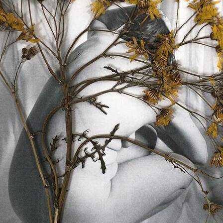 © Luise Flügge
