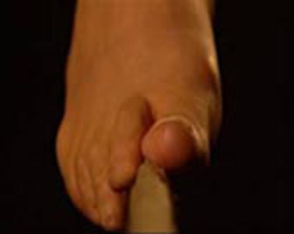 Titelbild des Projekts East t(w)o West