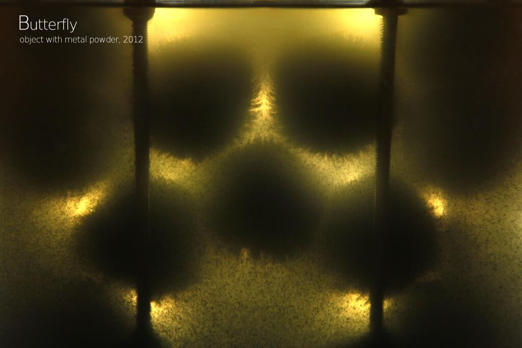 Galeriebild des Projekts Butterfly