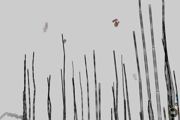 The Invisible Warbler Galeriebild des Projekts The Invisible Warbler