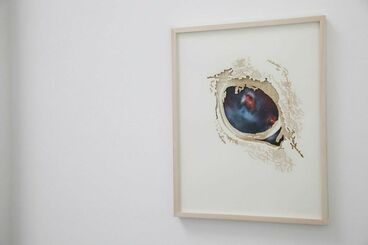 Galeriebild des Projekts Pferdegesicht