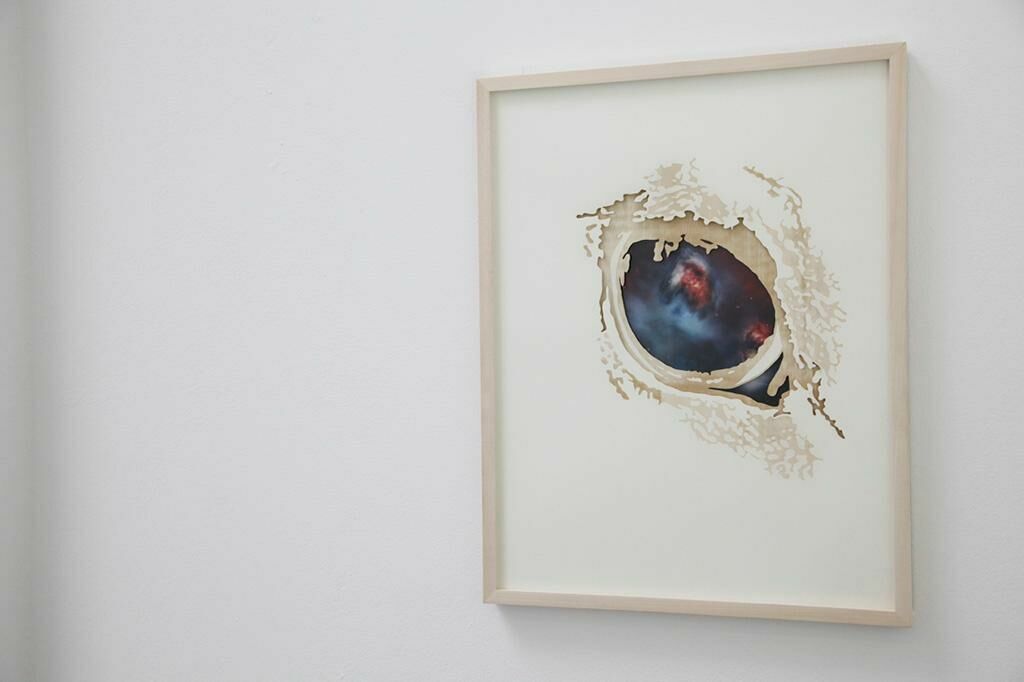 Galeriebild des Projekts Pferdegesicht