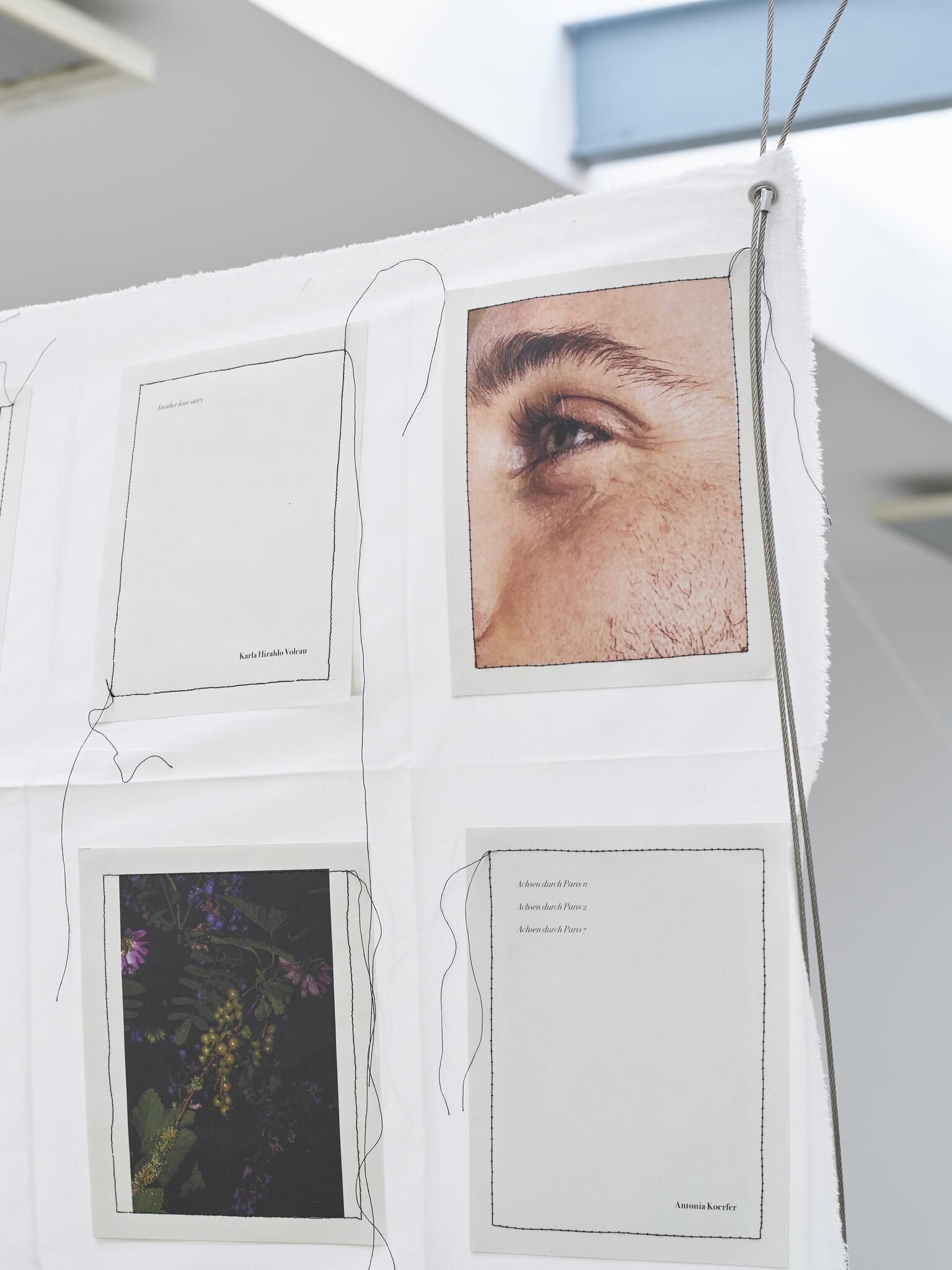 Galeriebild des Projekts IN MY HANDS - Issue 7 - An den Spitzen nur Wurzeln