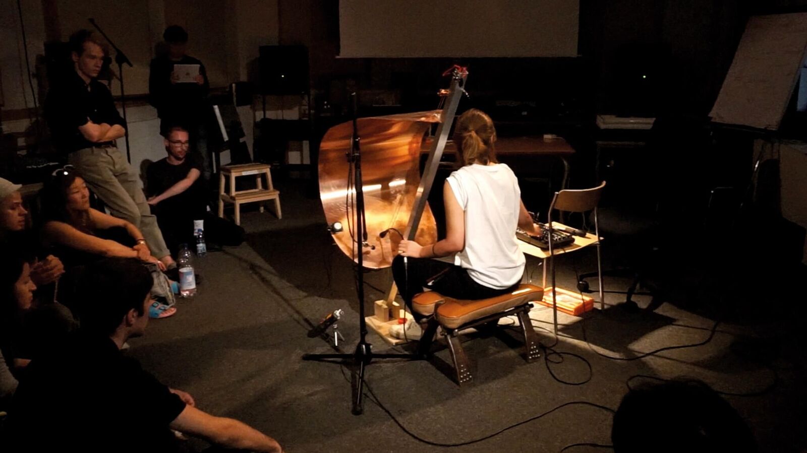 Titelbild des Projekts Selbstgebautes Instrument
