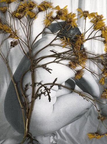 Titelbild des Projekts “Dear Camera...“