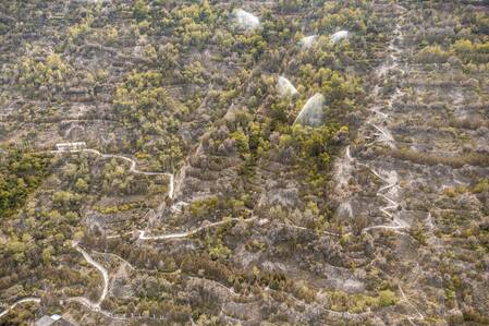 Liang Zhu