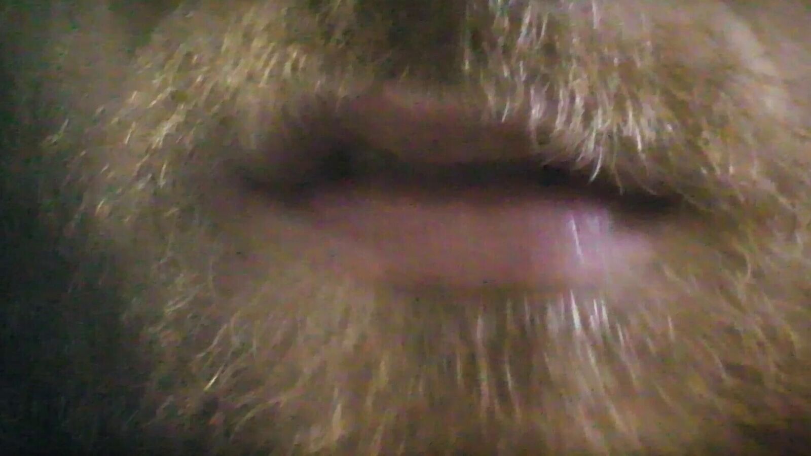 Galeriebild des Projekts Bitte nicht kotzen