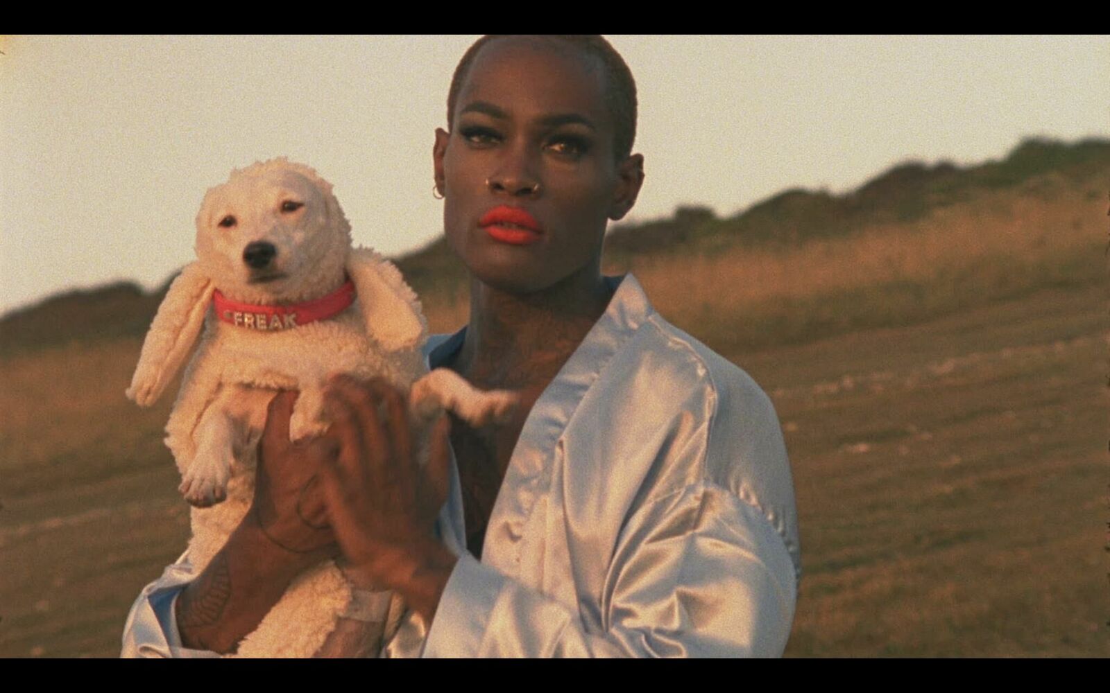 Titelbild des Projekts PARADIES 3000