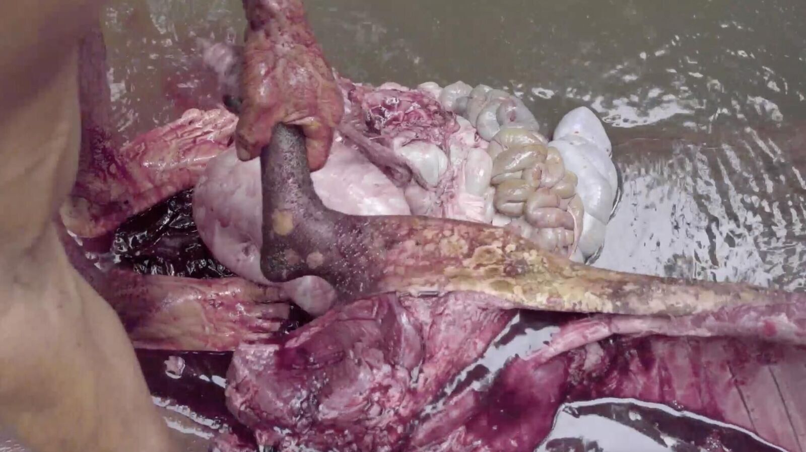 Galeriebild des Projekts Draußen leben