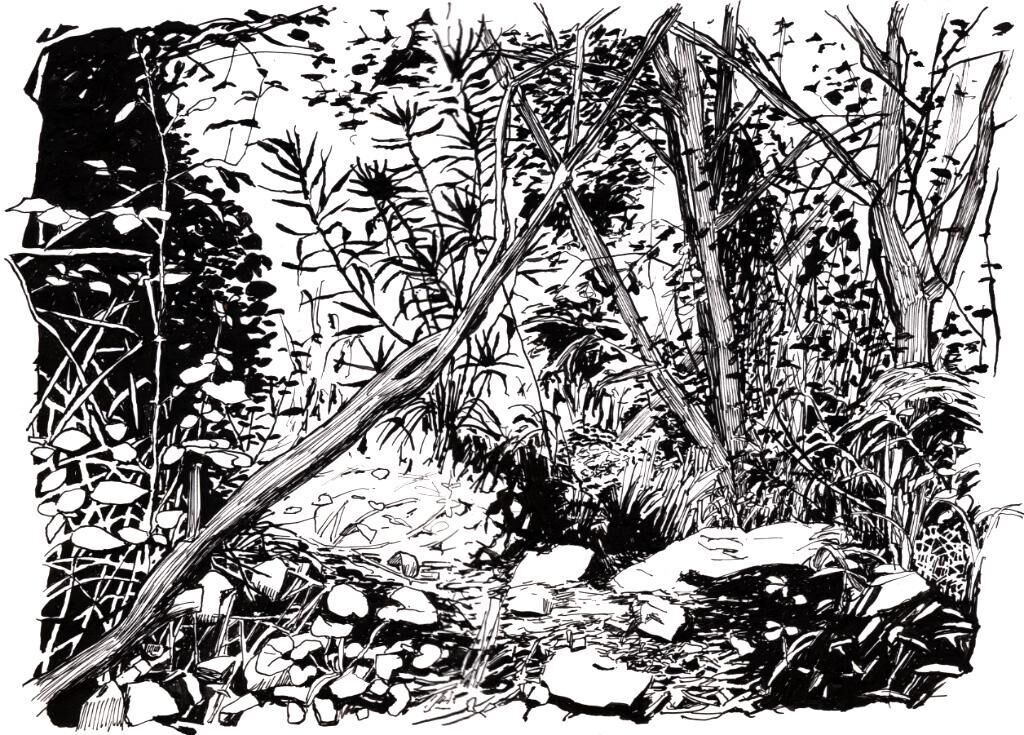 Galeriebild des Projekts Quo Vadis?