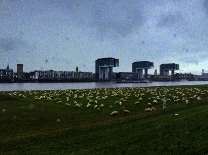 Titelbild des Projekts Stadt Land Schaf