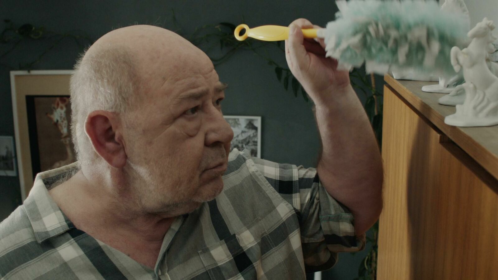 Galeriebild des Projekts Nachbarschaftsgrüße ""Erwin"" 