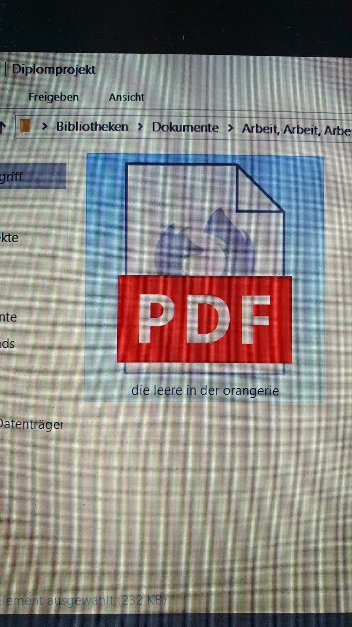 Titelbild des Projekts die leere in der orangerie 