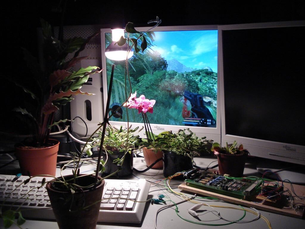 Galeriebild des Projekts Sensobotanics