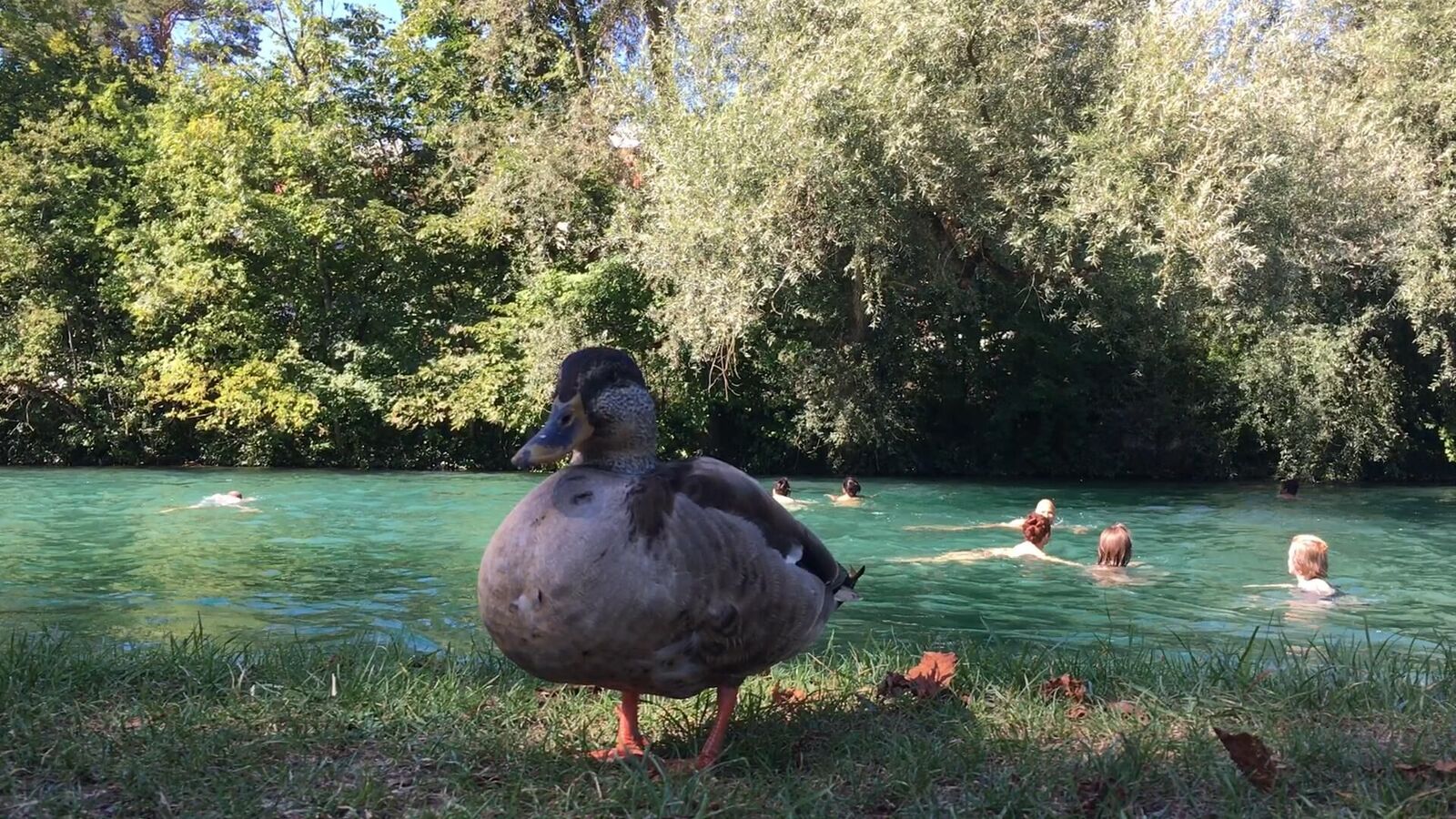 Galeriebild des Projekts Kaskade