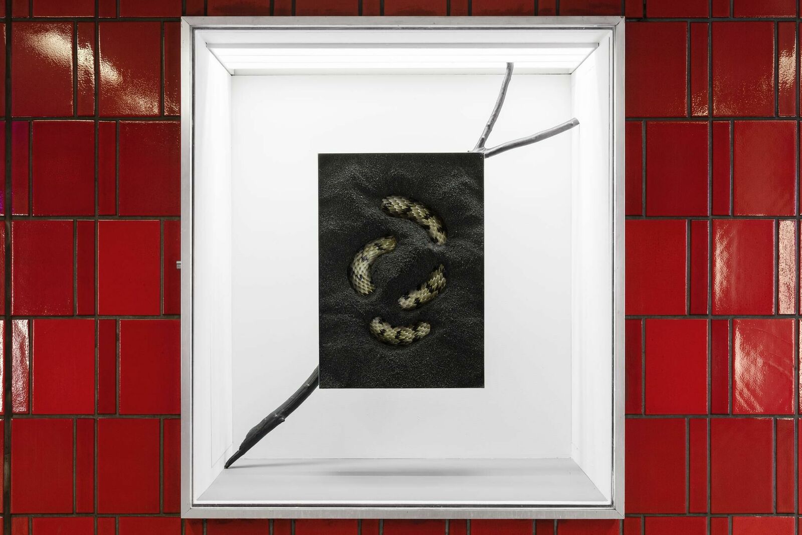Galeriebild des Projekts I OWN A CASTLE