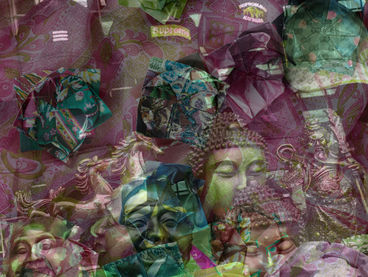 Anna Ehrenstein, A Lotus Is A Lotus I, 2019, Lentikulardruck