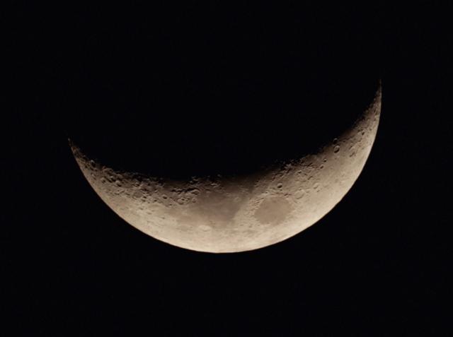 Galeriebild des Projekts WOMAN „FEVER“