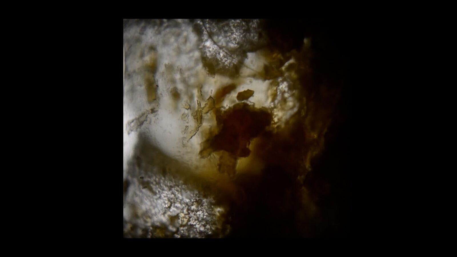 Galeriebild des Projekts Der Körperflicker 4