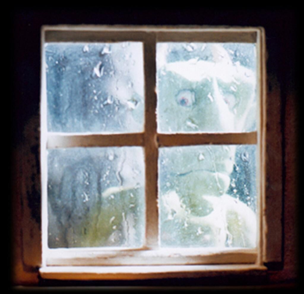 Titelbild des Projekts Der Krieg ist aus und der Soldat weiß nicht, was er tun soll