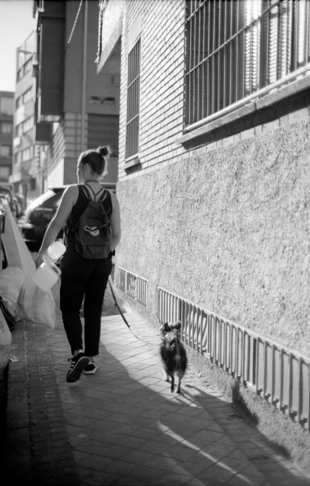 Galeriebild des Projekts [insert title]