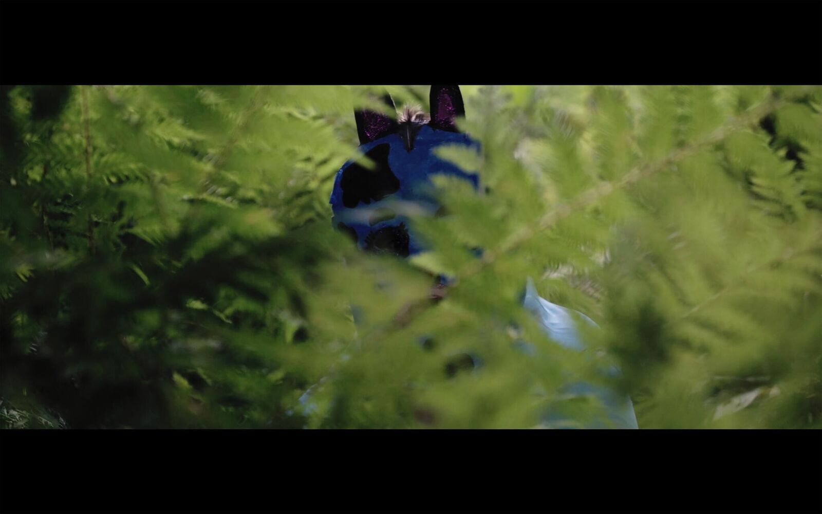 Galeriebild des Projekts EL SUEÑO (Director´s Cut)