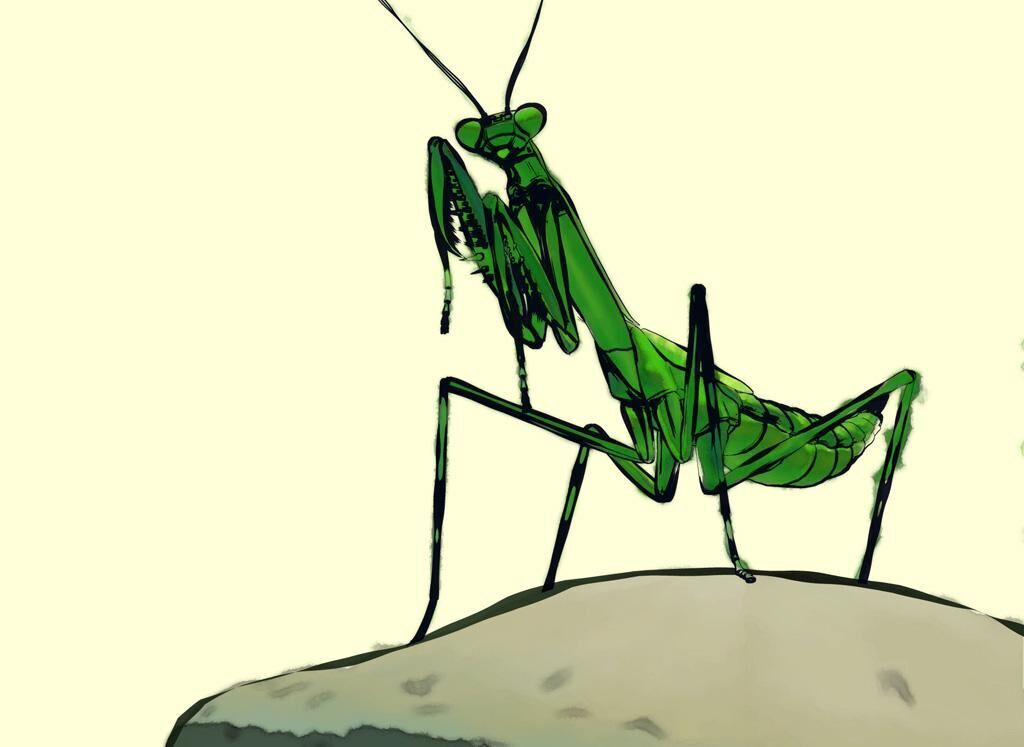 Galeriebild des Projekts Mantis