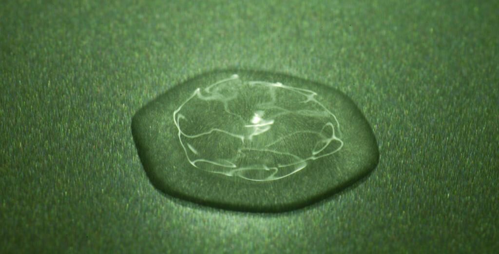 Titelbild des Projekts swinging matter