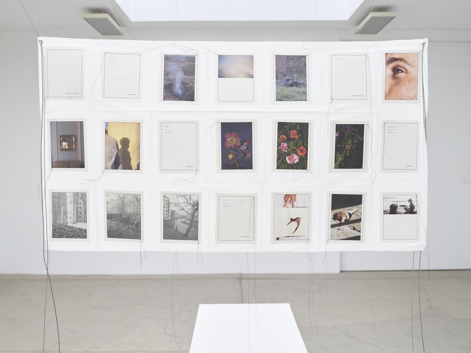 Galeriebild des Projekts IN MY HANDS - Issue 7 - An den Spitzen nur Wurzeln