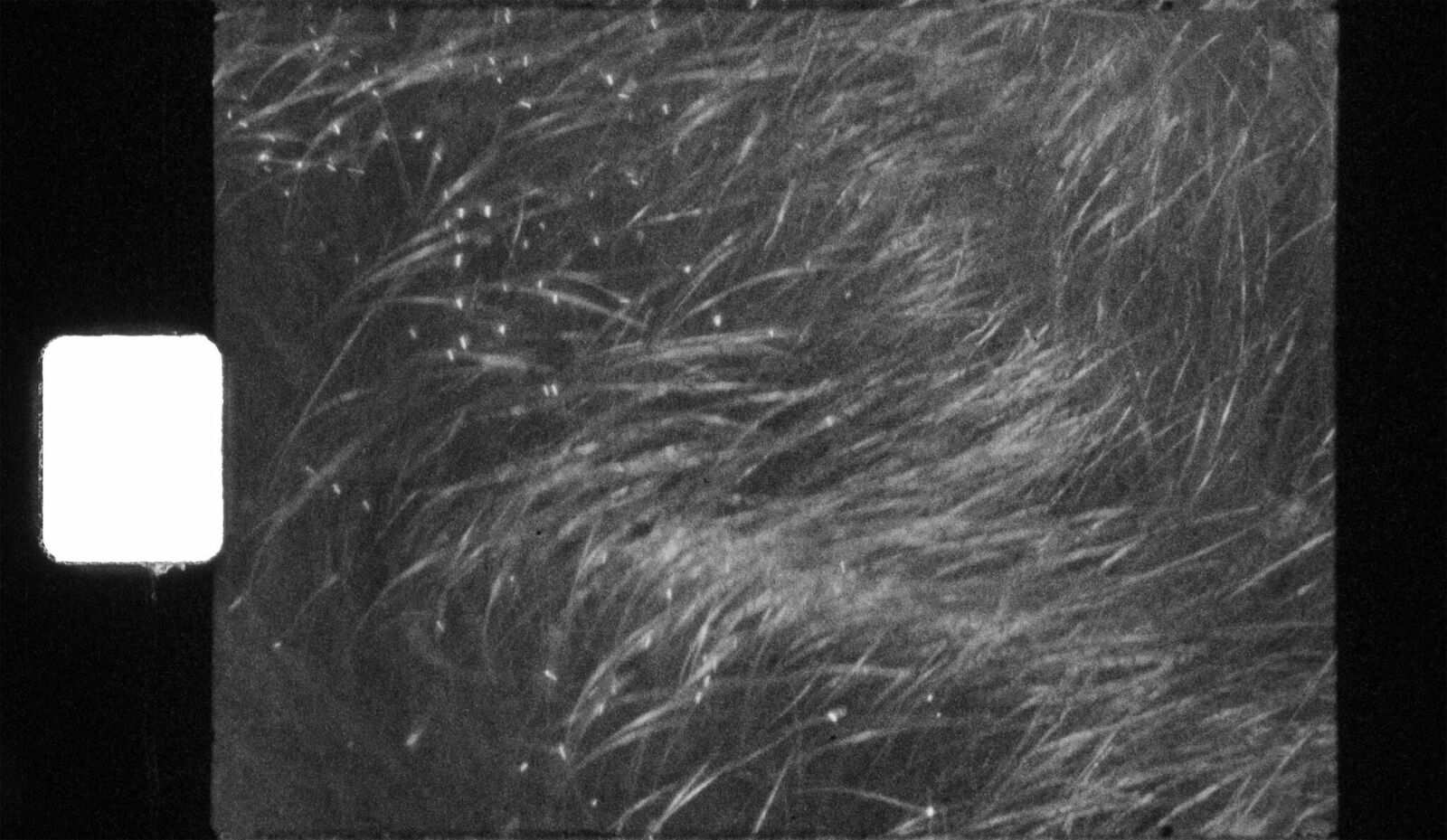 Galeriebild des Projekts El mismo sol, otra luz