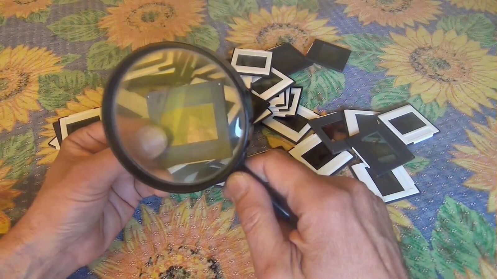 Galeriebild des Projekts Revue