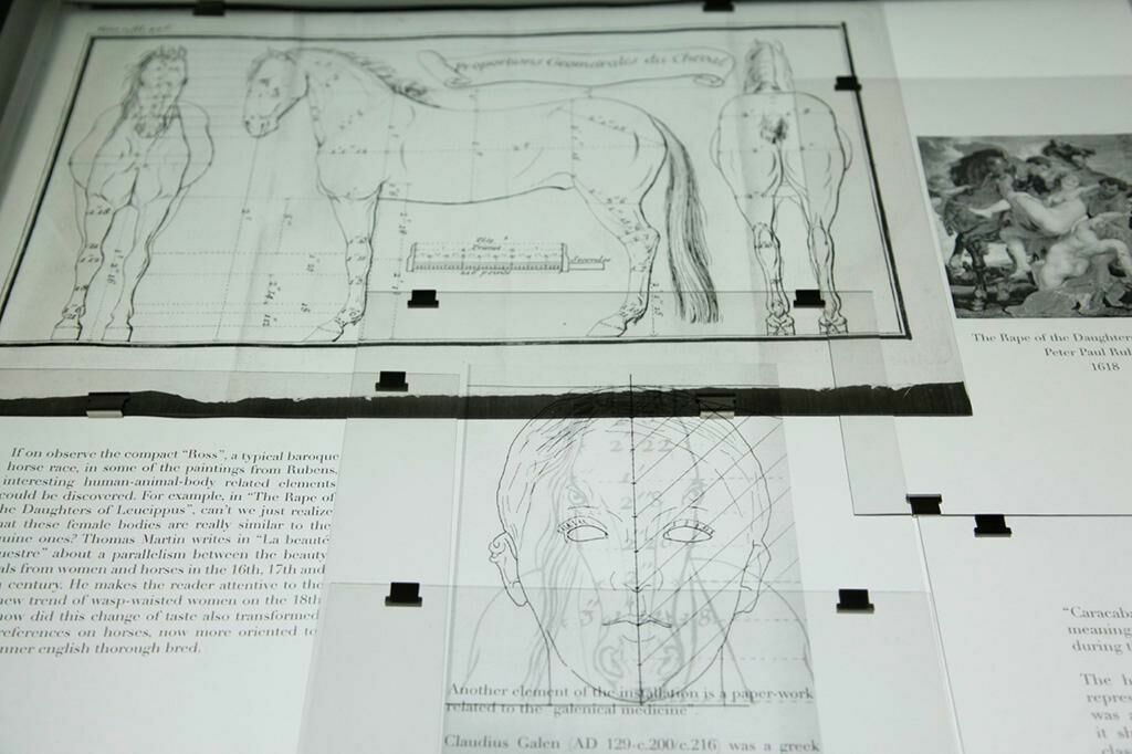 Galeriebild des Projekts Pferdegesicht