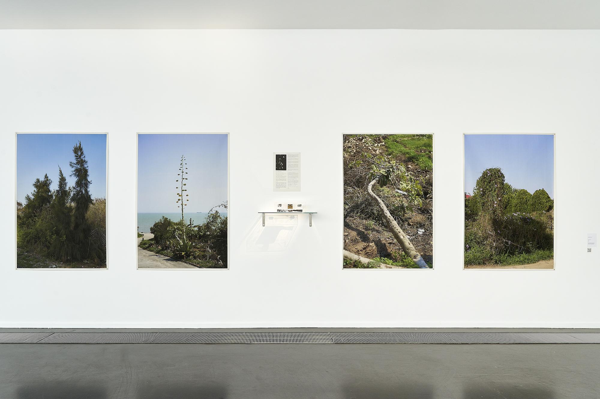 Galeriebild des Projekts Purple Thorn