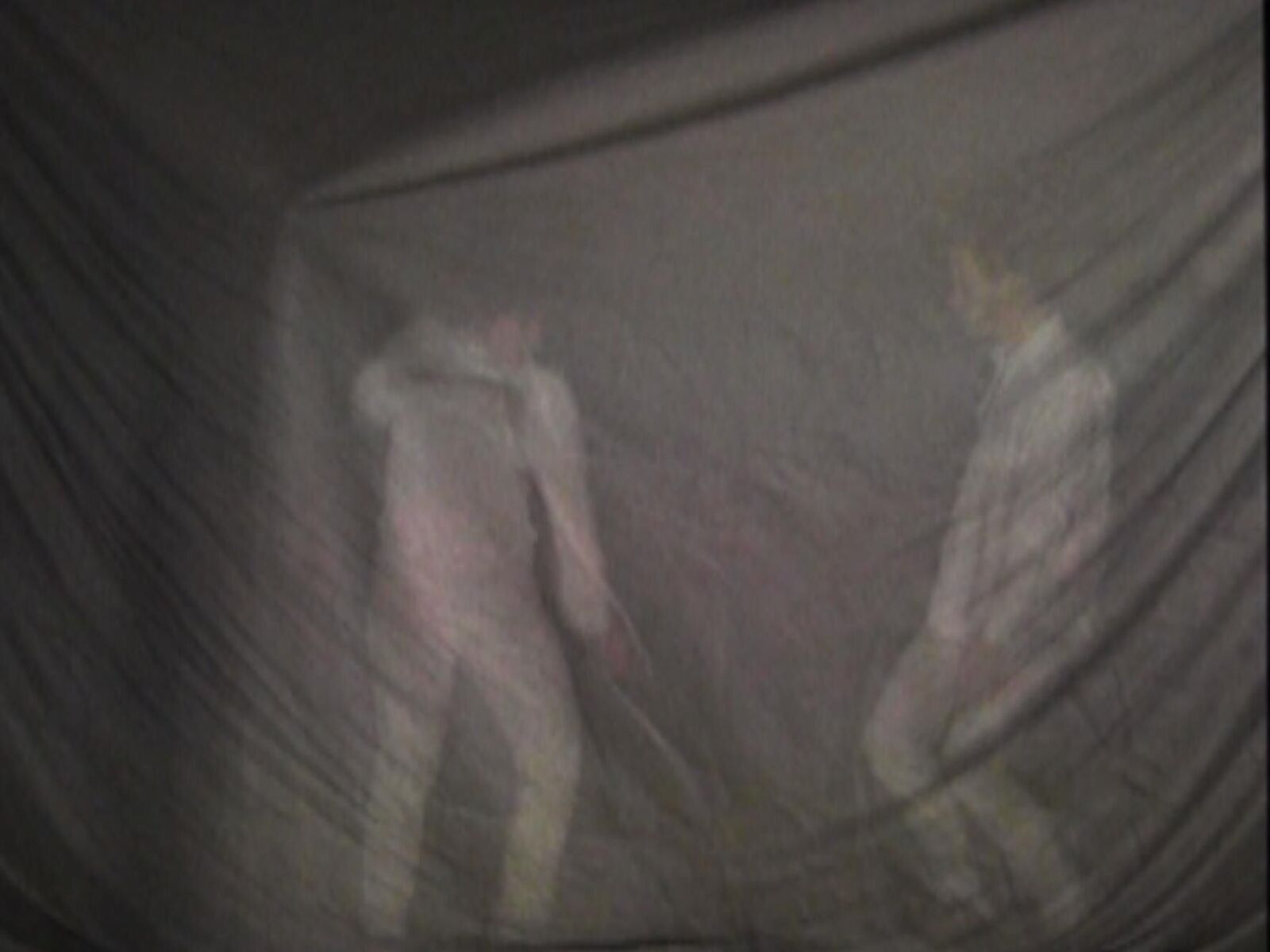 Galeriebild des Projekts interlateo