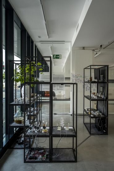 Galeriebild des Projekts Steine in den Medien