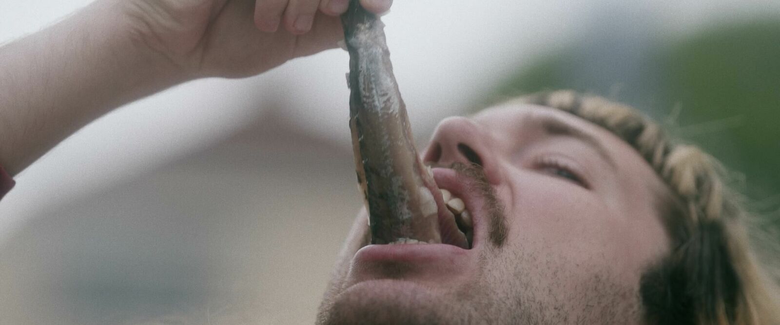 Galeriebild des Projekts Love in Vain