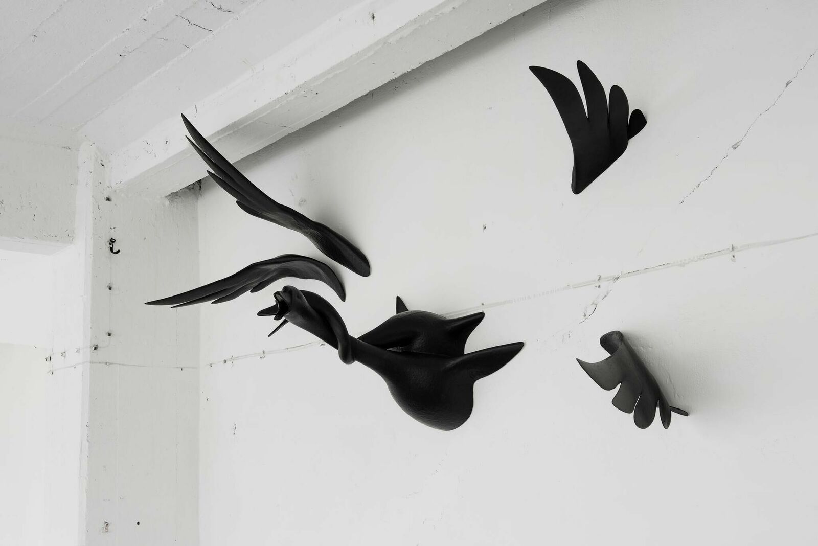 Galeriebild des Projekts Dazzling White Imprints of Proximity