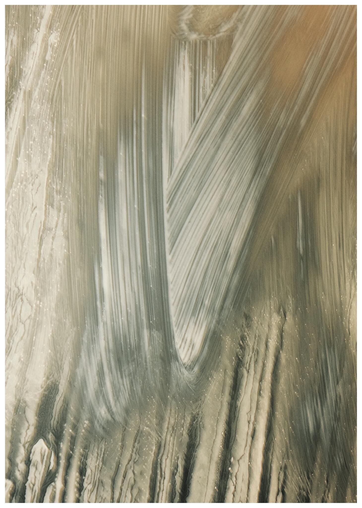 Galeriebild des Projekts FALSE SPRING