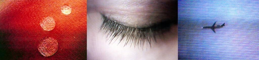 Galeriebild des Projekts Hybride Evavisionen #1