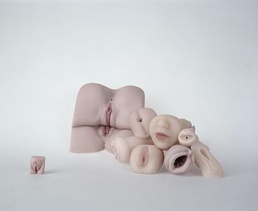 Nature Morte Titelbild des Projekts Nature Morte