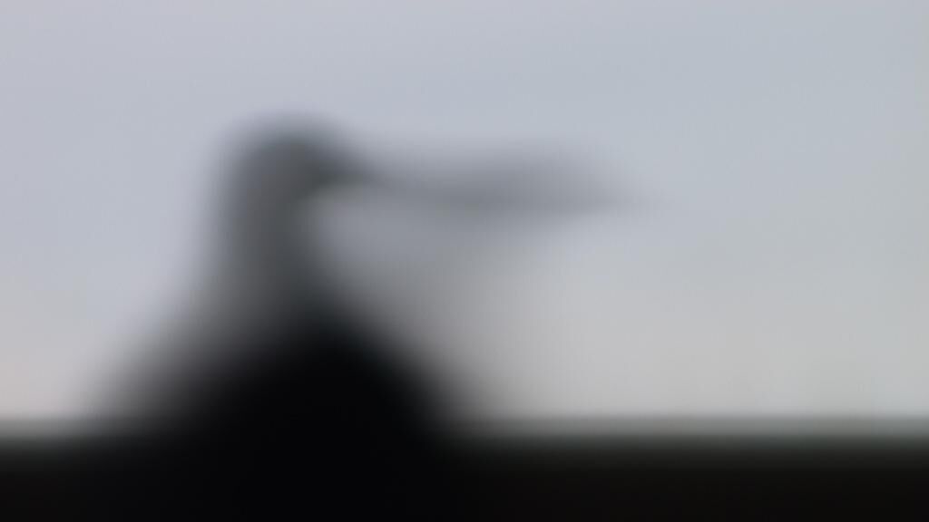 Galeriebild des Projekts Ding